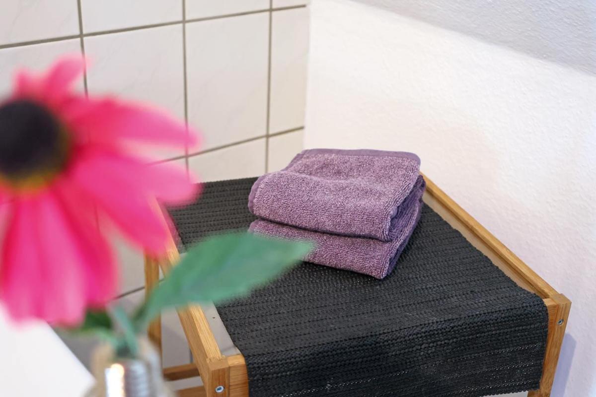 Appartments Zur Schlosswache דליטש' מראה חיצוני תמונה