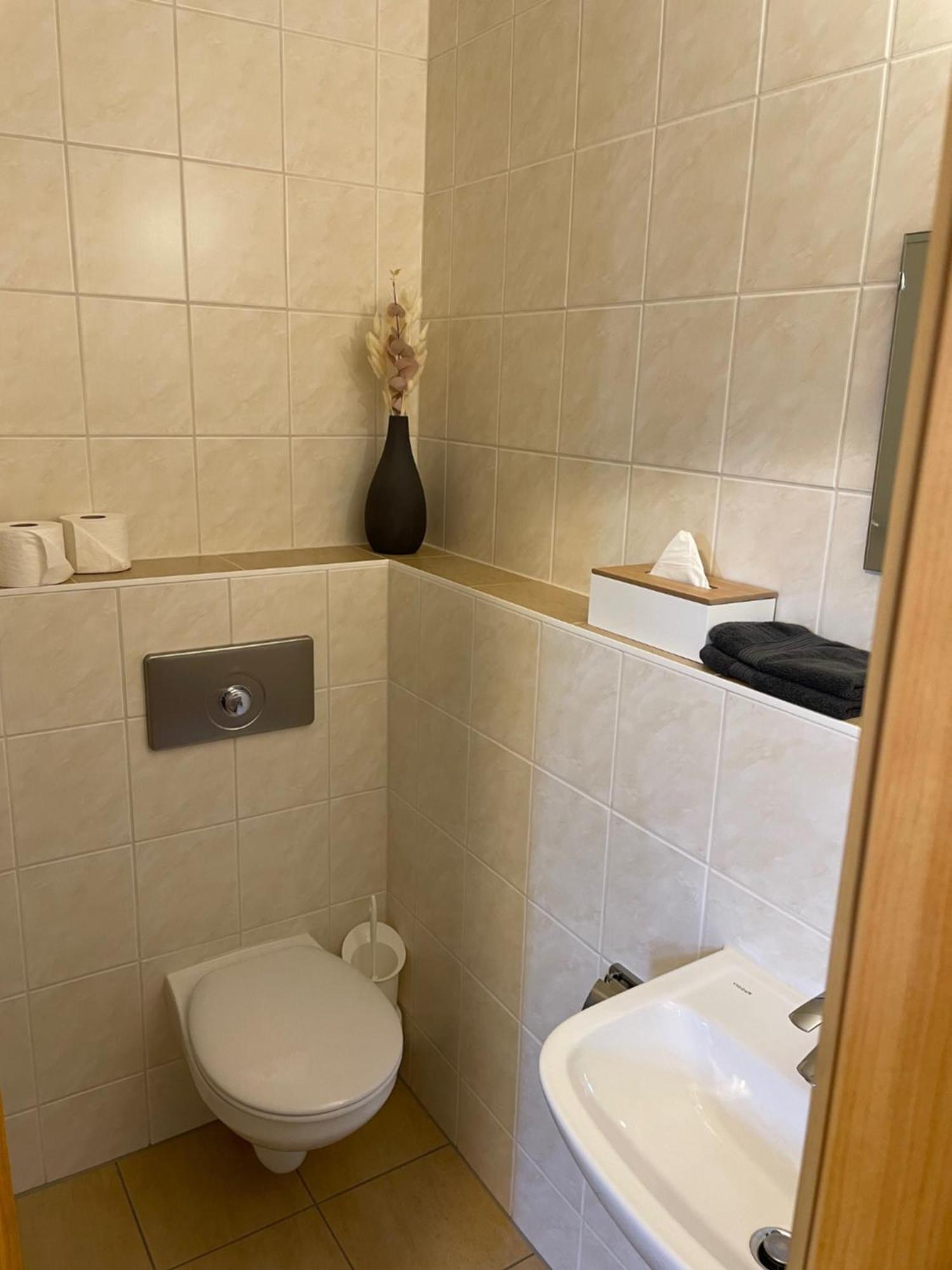 Appartments Zur Schlosswache דליטש' מראה חיצוני תמונה